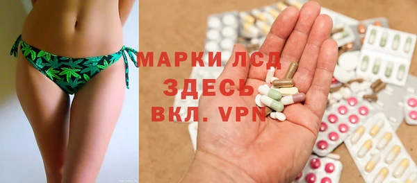 PSILOCYBIN Аркадак