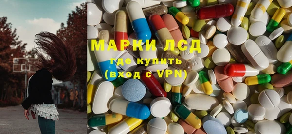PSILOCYBIN Аркадак