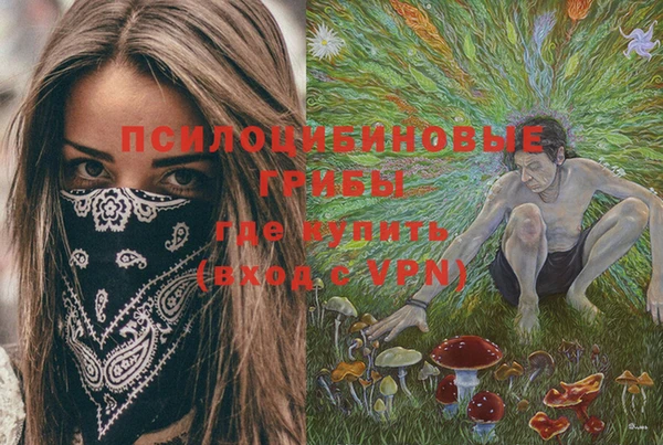 кокаин премиум Алексеевка