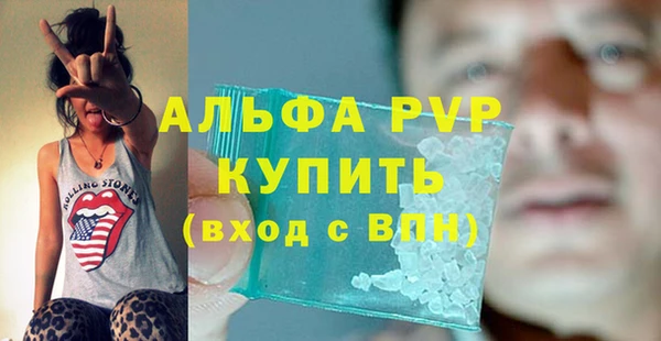 PSILOCYBIN Аркадак