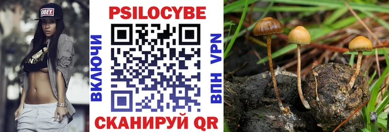 Галлюциногенные грибы MAGIC MUSHROOMS как найти закладки hydra tor Заозёрный